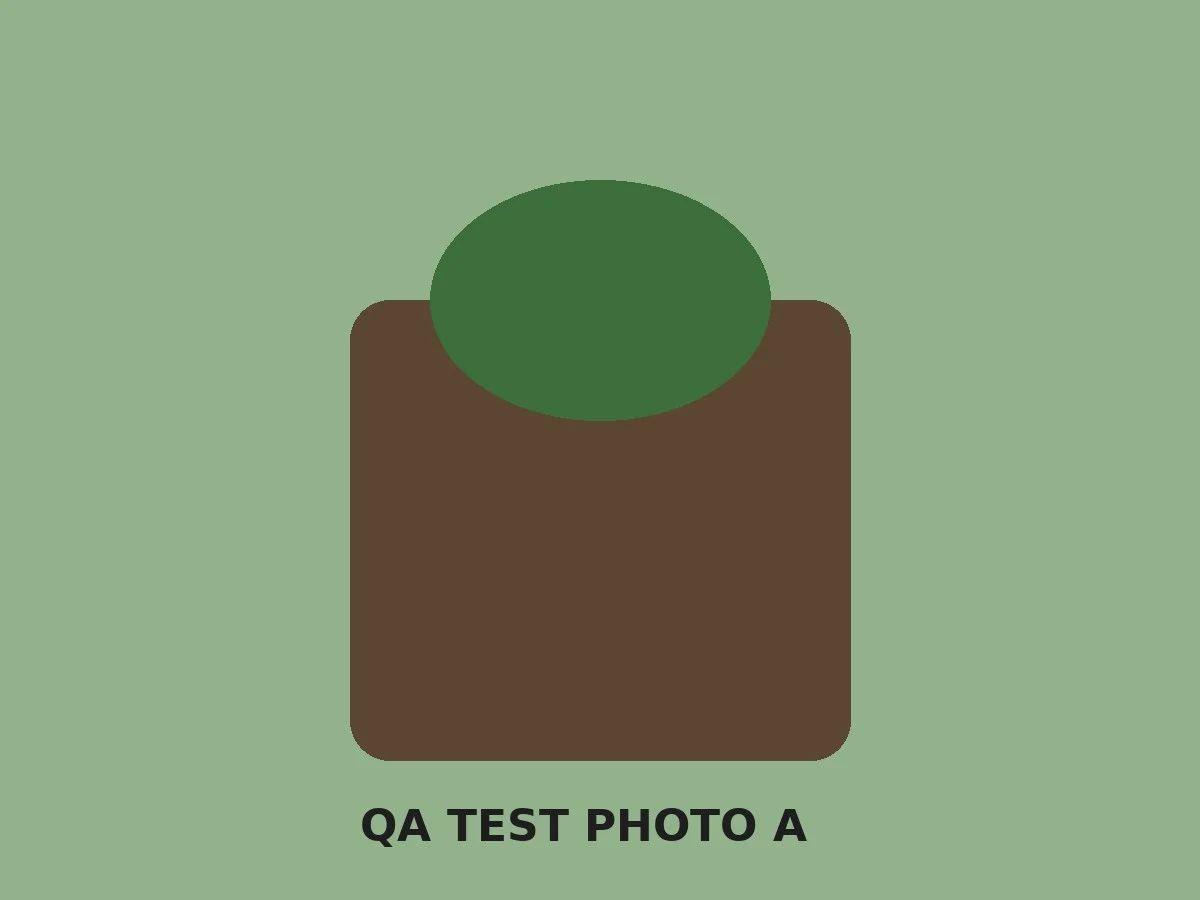 QA TEST cover photo